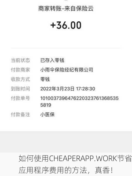 如何使用CHEAPERAPP.WORK节省应用程序费用的方法，真香！
