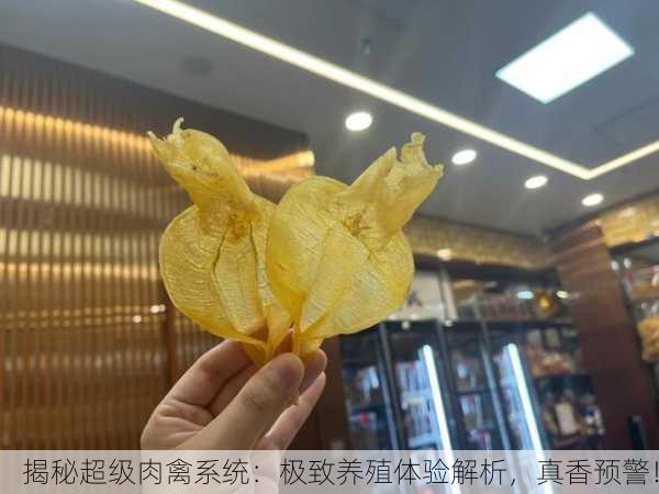 揭秘超级肉禽系统：极致养殖体验解析，真香预警！