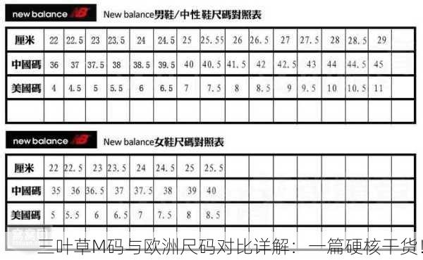 三叶草M码与欧洲尺码对比详解：一篇硬核干货！
