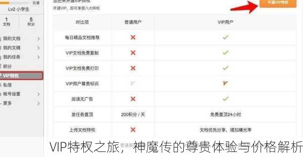 VIP特权之旅，神魔传的尊贵体验与价格解析