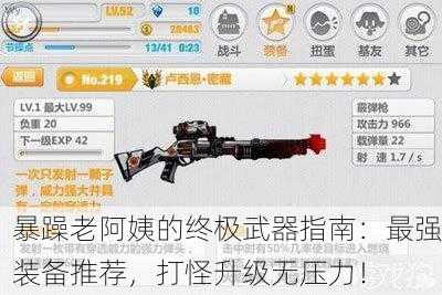 暴躁老阿姨的终极武器指南：最强装备推荐，打怪升级无压力！