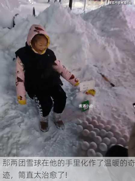 那两团雪球在他的手里化作了温暖的奇迹，简直太治愈了!