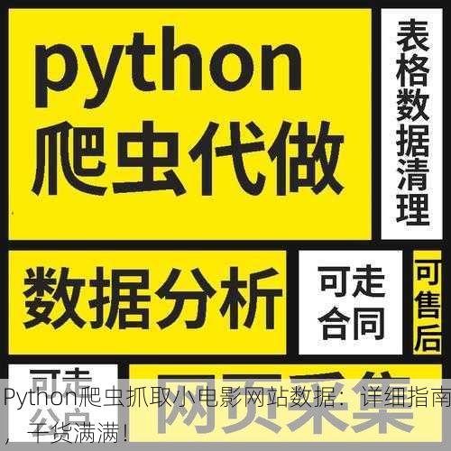 Python爬虫抓取小电影网站数据：详细指南，干货满满！