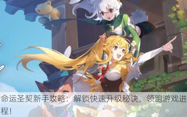 命运圣契新手攻略：解锁快速升级秘诀，领跑游戏进程！