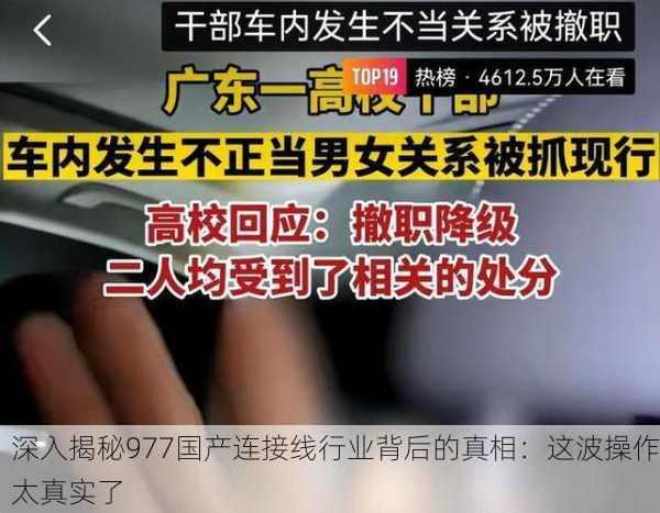 深入揭秘977国产连接线行业背后的真相：这波操作太真实了