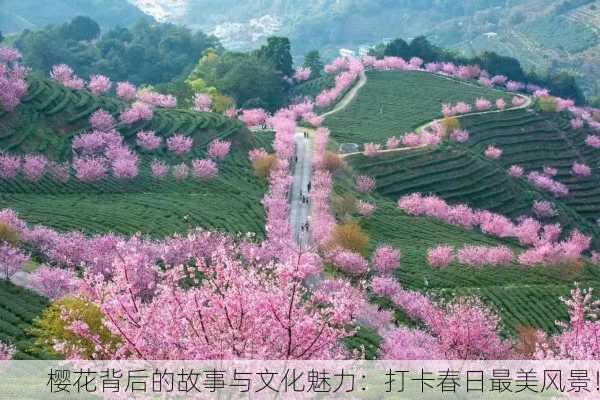 樱花背后的故事与文化魅力：打卡春日最美风景！