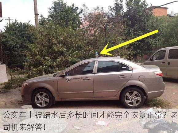 公交车上被蹭水后多长时间才能完全恢复正常？老司机来解答！