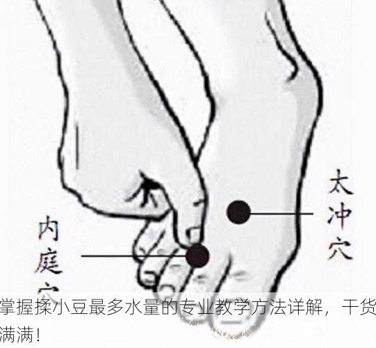 掌握揉小豆最多水量的专业教学方法详解，干货满满！