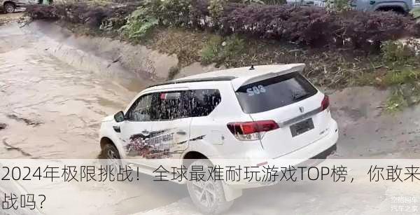 2024年极限挑战！全球最难耐玩游戏TOP榜，你敢来战吗？