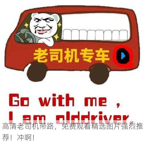 高清老司机带路，免费观看精选图片强烈推荐！冲啊！