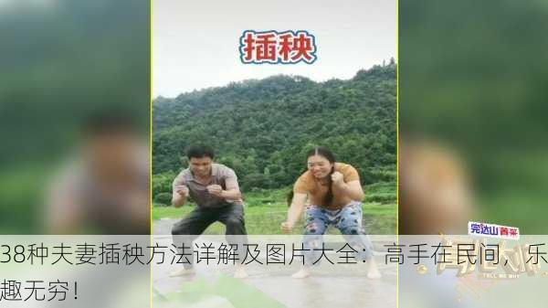 38种夫妻插秧方法详解及图片大全：高手在民间，乐趣无穷！
