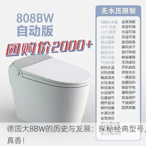 德国大8BW的历史与发展：探秘经典型号，真香！