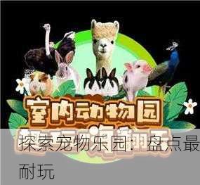 探索宠物乐园：盘点最耐玩