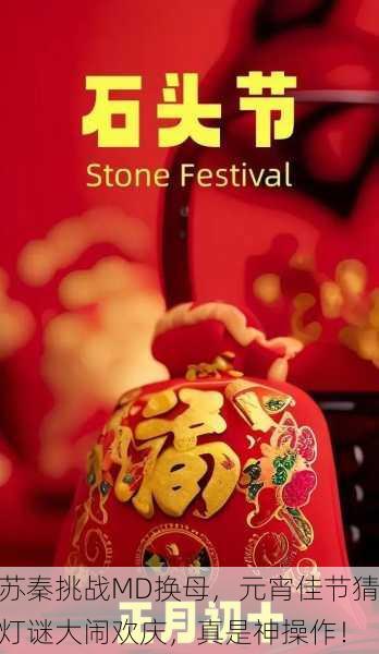 苏秦挑战MD换母，元宵佳节猜灯谜大闹欢庆，真是神操作！