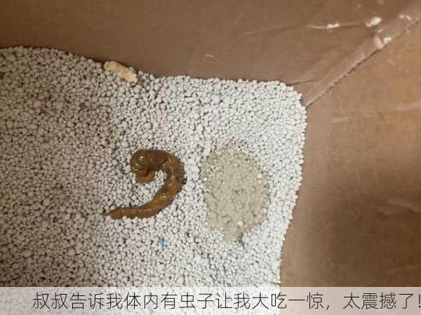 叔叔告诉我体内有虫子让我大吃一惊，太震撼了！