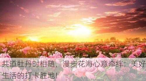 共道牡丹时相随，漫步花海心意牵绊：美好生活的打卡胜地！