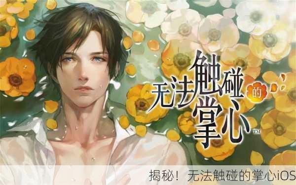揭秘！无法触碰的掌心iOS