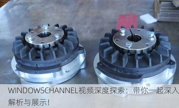 WINDOWSCHANNEL视频深度探索：带你一起深入解析与展示！