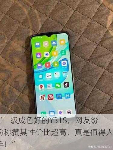 “一级成色好的Y31S，网友纷纷称赞其性价比超高，真是值得入手！”
