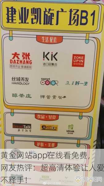 黄金网站app在线看免费，网友热评：超高清体验让人爱不释手！