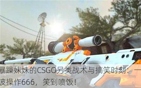 暴躁妹妹的CSGO另类战术与搞笑时刻：一波操作666，笑到喷饭！