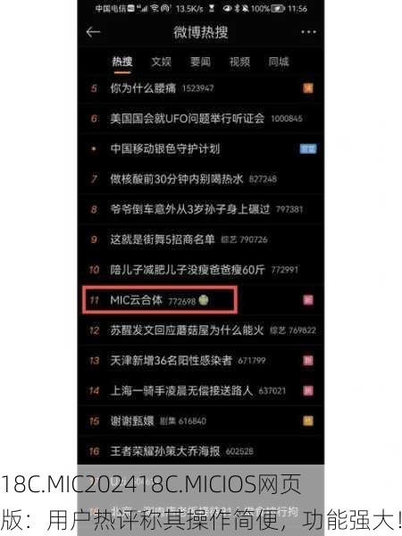 18C.MIC202418C.MICIOS网页版：用户热评称其操作简便，功能强大！