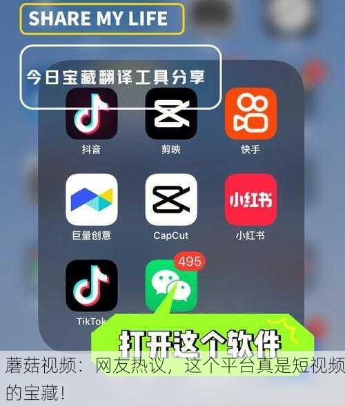 蘑菇视频：网友热议，这个平台真是短视频的宝藏！