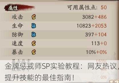 金牌惩戒师SP实验教程：网友热议，提升技能的最佳指南！