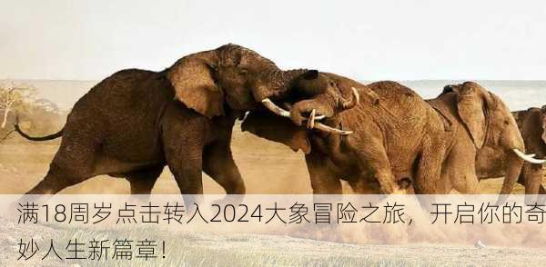满18周岁点击转入2024大象冒险之旅，开启你的奇妙人生新篇章！