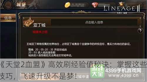 《天堂2血盟》高效刷经验值秘诀：掌握这些技巧，飞速升级不是梦！