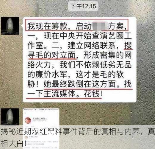 揭秘近期爆红黑料事件背后的真相与内幕，真相大白！