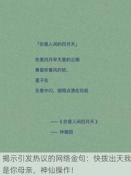 揭示引发热议的网络金句：快拨出天我是你母亲，神仙操作！