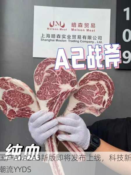 国产A1A2A3新版即将发布上线，科技新潮流YYDS