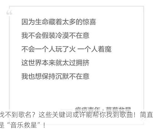 找不到歌名？这些关键词或许能帮你找到歌曲！简直是“音乐救星”！
