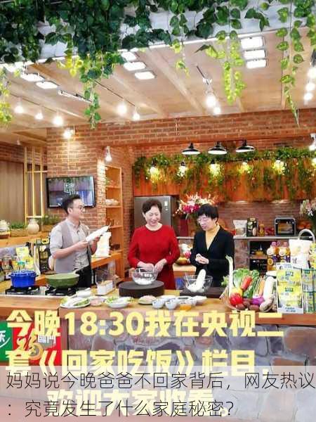 妈妈说今晚爸爸不回家背后，网友热议：究竟发生了什么家庭秘密？
