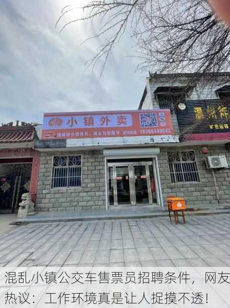 混乱小镇公交车售票员招聘条件，网友热议：工作环境真是让人捉摸不透！