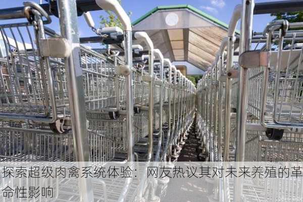 探索超级肉禽系统体验：网友热议其对未来养殖的革命性影响