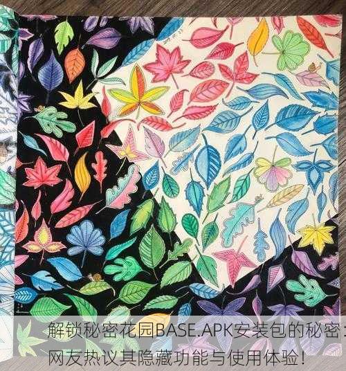 解锁秘密花园BASE.APK安装包的秘密：网友热议其隐藏功能与使用体验！