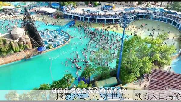 探索梦幻小小水世界：预约入口揭秘