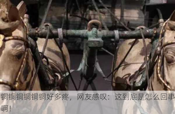 铜铜铜铜铜铜好多疼，网友感叹：这到底是怎么回事啊！