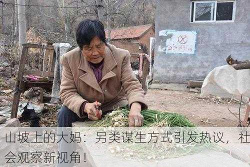 山坡上的大妈：另类谋生方式引发热议，社会观察新视角！