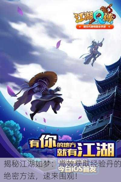 揭秘江湖如梦：高效获取经验丹的绝密方法，速来围观！
