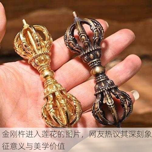 金刚杵进入莲花的图片，网友热议其深刻象征意义与美学价值
