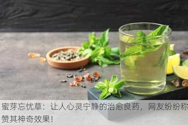 蜜芽忘忧草：让人心灵宁静的治愈良药，网友纷纷称赞其神奇效果！