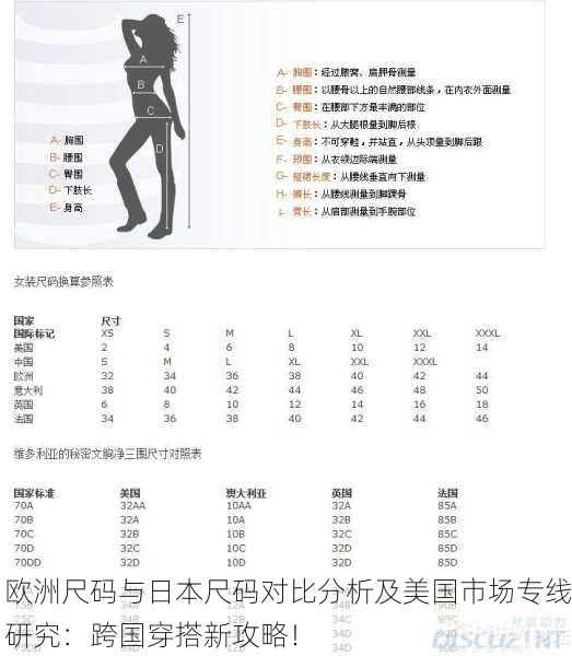 欧洲尺码与日本尺码对比分析及美国市场专线研究：跨国穿搭新攻略！