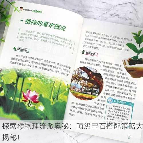 探索猴物理流派奥秘：顶级宝石搭配策略大揭秘！