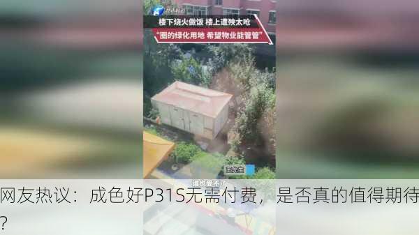 网友热议：成色好P31S无需付费，是否真的值得期待？