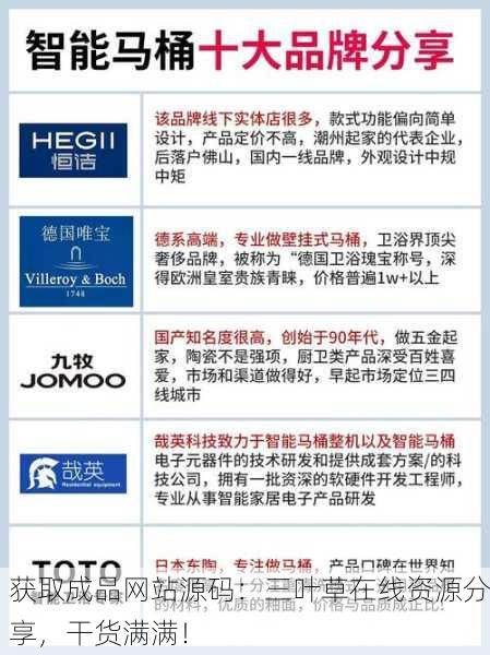 获取成品网站源码：三叶草在线资源分享，干货满满！