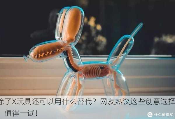 除了X玩具还可以用什么替代？网友热议这些创意选择，值得一试！