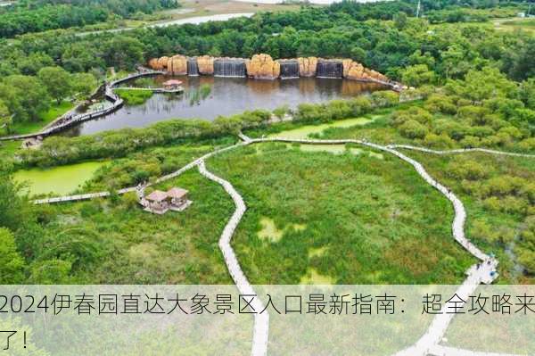2024伊春园直达大象景区入口最新指南：超全攻略来了！